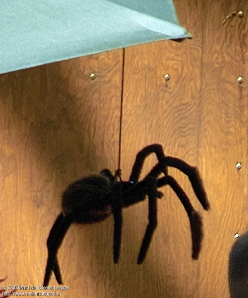 208