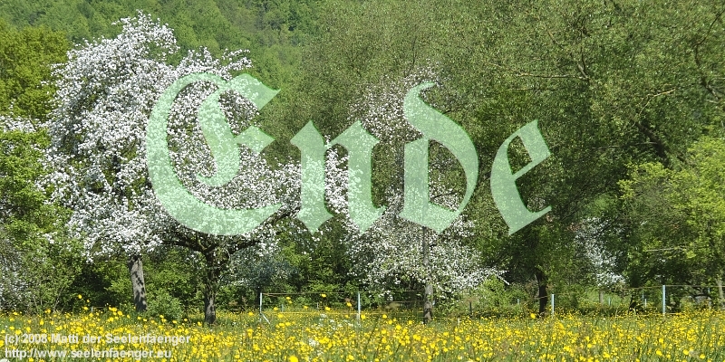 330