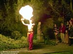 255